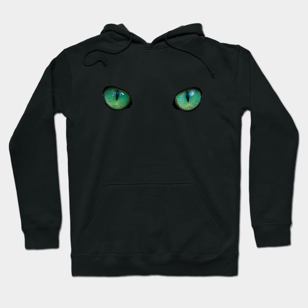 Cat eyes (Cheshire cat style)- Catshirt - Cats lover / Animals lover / Vegan - gift idea Hoodie by Vane22april